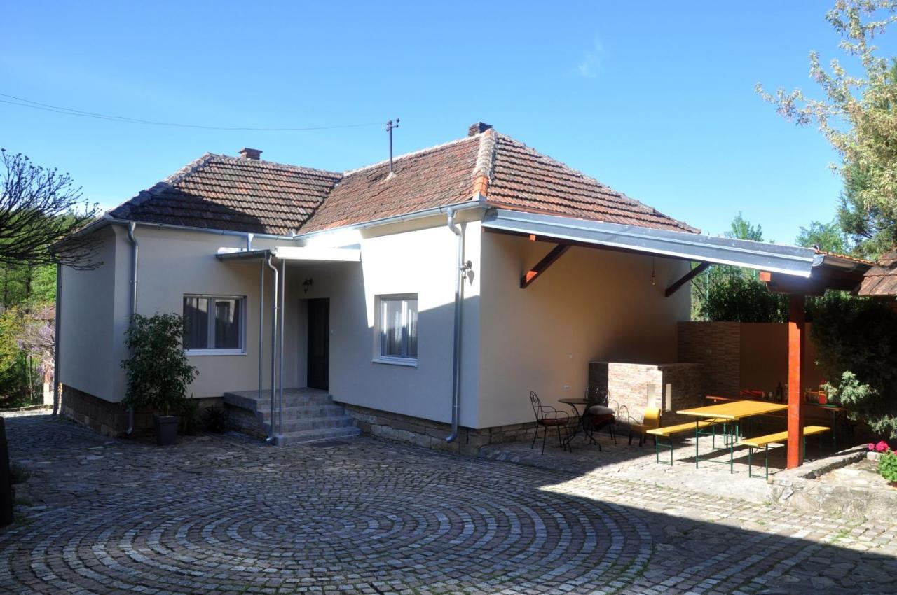 Guesthouse Djuric Negotin Exterior foto