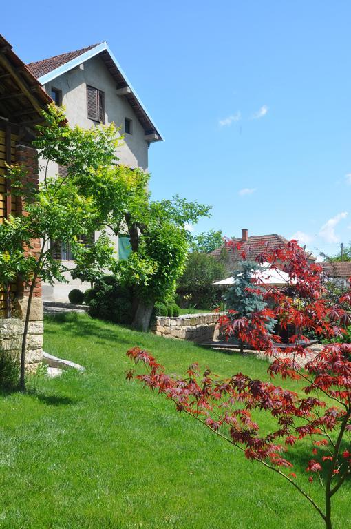 Guesthouse Djuric Negotin Exterior foto