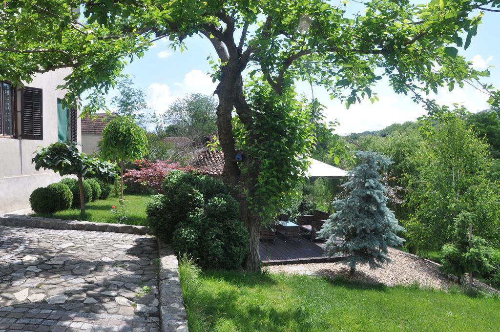 Guesthouse Djuric Negotin Exterior foto