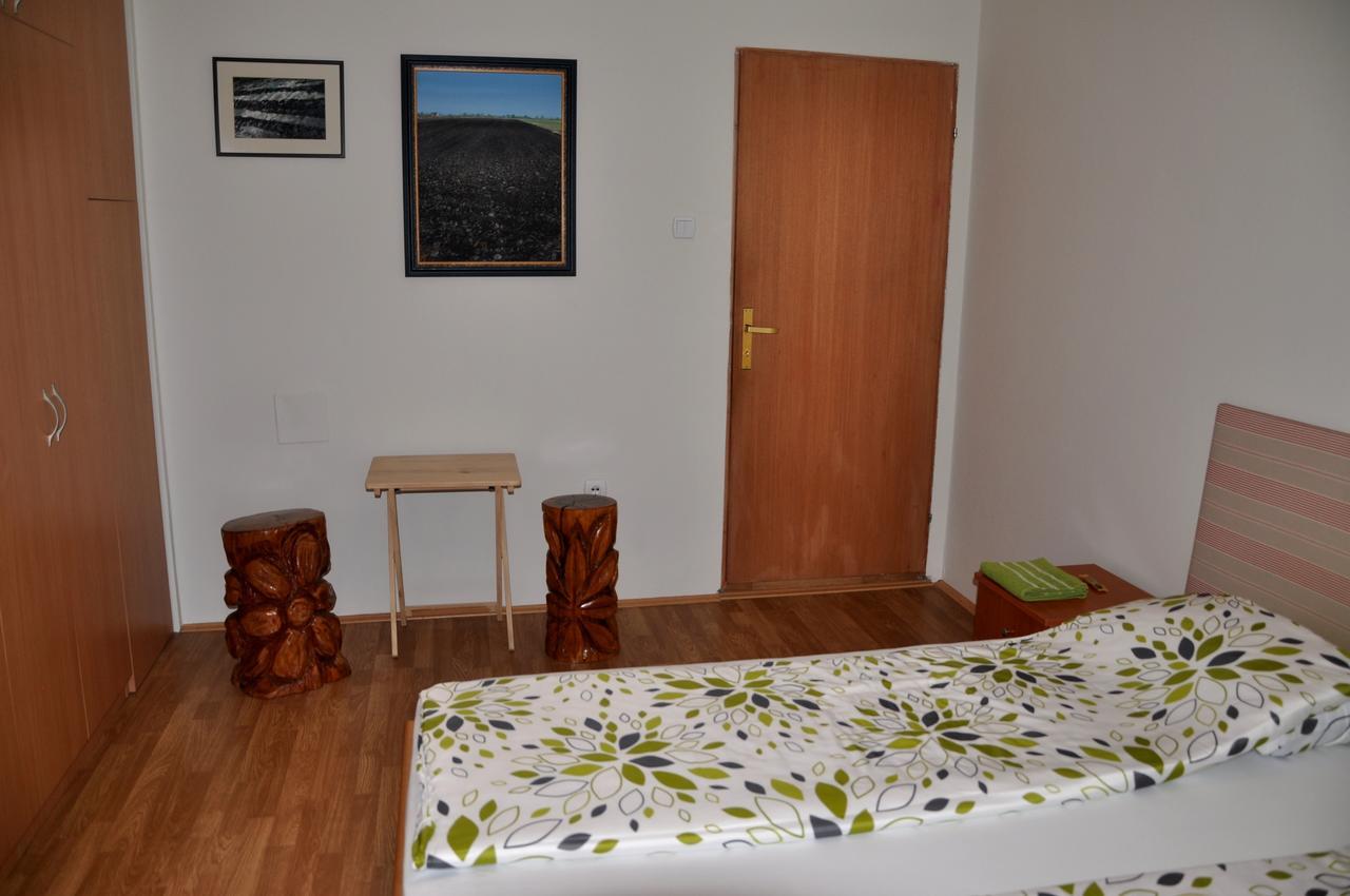Guesthouse Djuric Negotin Exterior foto